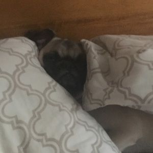 Meet your Posher, Karime